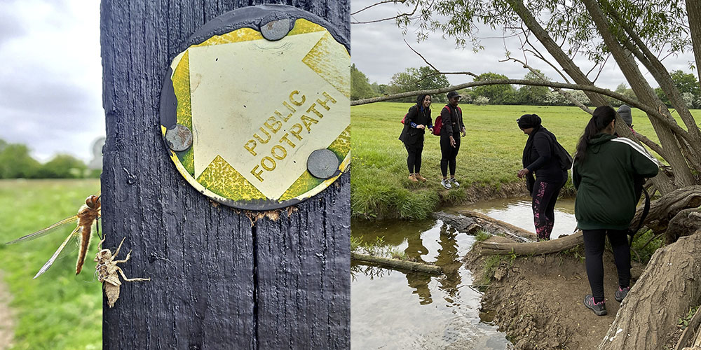 One photo shows a dragon fly that has just emerged from it's nymph stage and resting on a wooden post with a footpath marker. Another photo shows people crossing a river flood on a log.