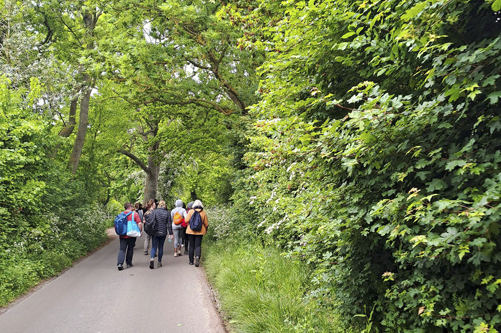 A group of people walking along a peaceful country lane surrounded by green verges, hedgerows and trees.